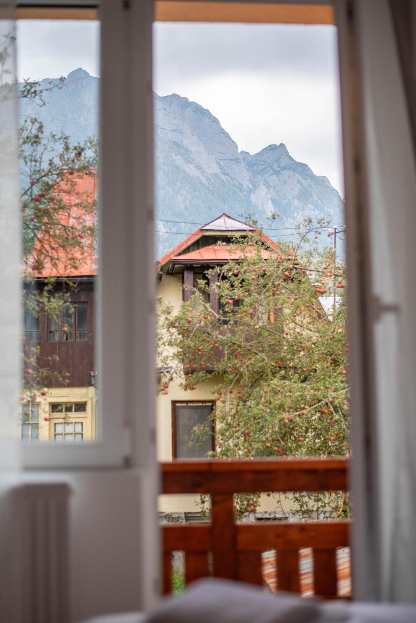 Casa Bucegi Busteni Otel Dış mekan fotoğraf